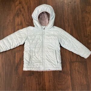 The North Face Light Cyan Hooded Puffer Jacket